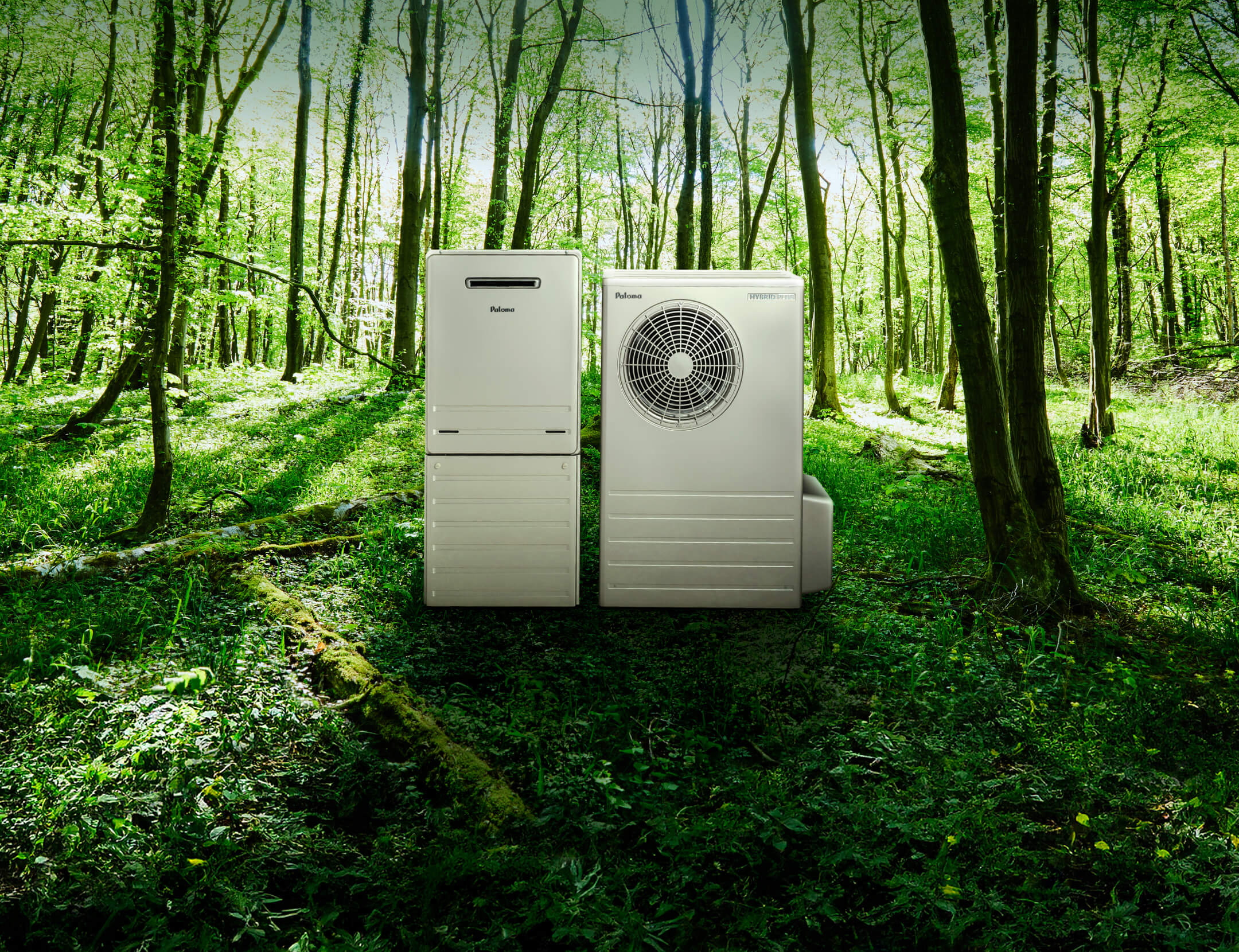 ハイブリッドプラスのイメージ写真