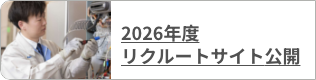 特設リンク